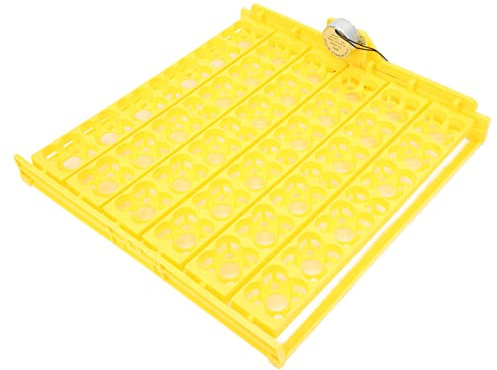 KOSDFOGE Bandeja Incubación de Huevos, 156 Piezas Huevos Volteador Automático Huevos, Incubadora Laboratorio para Bandeja Incubadora Automática de Huevos, Accesorio de Incubación, para Pollo(120V)