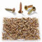 VooGenzek 150 Pièces M3.5 * 16 mm Vis à Bois À Filetage Épais, Vis Cruciformes, Vis Autotaraudeuses, pour Cloisons SèChes, Meubles En Bois, Jaune