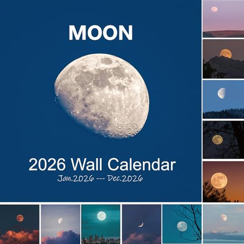 2025 Väggkalender, månfaser kalender, 12 månaders månkalender för vägg, 30 cm x 61 cm öppen, månkalender med månspårning, hela sidan månader tjockt och robust papper för organisering och planering