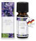 pajoma® Duftöl 10 ml, Lavendel | feinstes Parfümöl für Aromatherapie, Duftlampe, Aroma Diffuser, Massage, Naturkosmetik | Premium Qualität