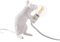 ECOSWAY White Resin Mouse Shape Table Lamp, LED Desk Light with Touch Control, Indoor Use, Contemporary Style, Decoration