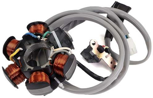 Lichtmaschine Stator TNT, 294971 für Aprilia Mojito, Piaggio Liberty RST Habana Custom Hexagon LX 4 Vespa ET4 Sfera 125 ccm