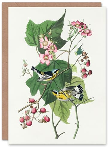 Artery8 John James Audubon Art Card Black and Yellow Warblers