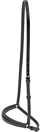 Busse