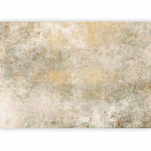 murando - Papier peint panoramique abstrait 400x280 cm - Revêtement mural décoration pour chambre salon cuisine - Design unique et moderne - Vert blanc gris - a-A-10185-a-b