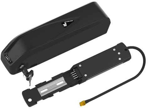 Yasco Hailong 48V 20Ah Batteria per Bici Elettrica con Caricabatterie, Batteria al litio Ricaricabile, 40A BMS Protezione, 4 perni Piastra di Installazione (48V 20Ah for 1500W Motor)