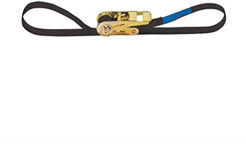 Adam Hall Accessories SR254 Zurrgurt mit Druckratsche 25 mm - 4,0 m