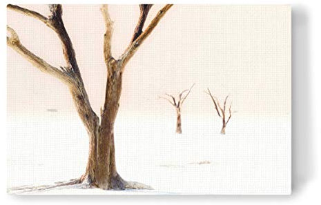 artboxONE Leinwand 150x100 cm Natur Treesome von Juergen Klust