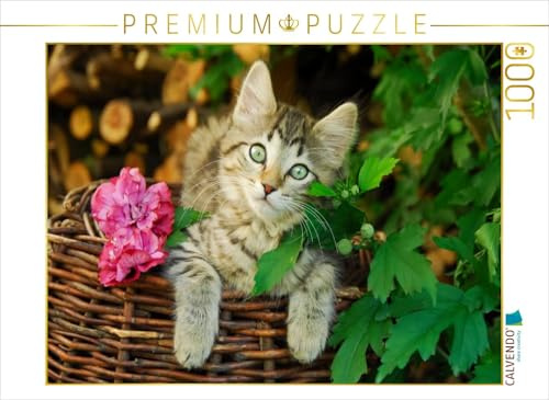 CALVENDO Puzzle Niedliches junges Kätzchen auf einem Weidenkorb | 1000 Teile Lege-Größe 64 x 48 cm Foto-Puzzle für glückliche Stunden