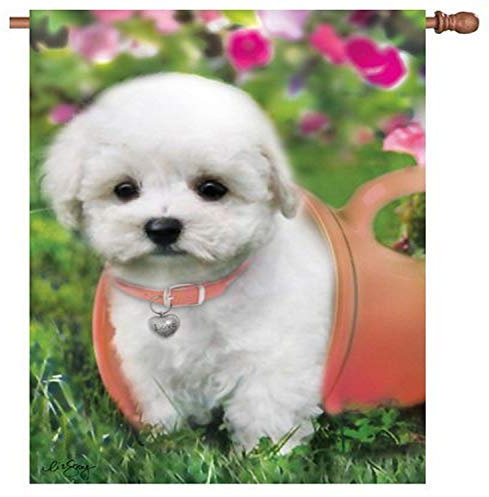 Premier 52978 House beleuchtet Flagge, Puppy Love, 28 von 101,6 cm