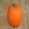 AMZT - Nueva calabaza gigante 20+ Semillas Semillas de calabaza de Halloween orgánicos - Cucurbita pepo