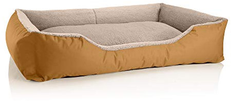 BedDog Hundebett Teddy, Hundesofa aus Cordura und Microfaser-Velours, waschbares Hundebett mit Rand, Hundekissen Vier-eckig, für drinnen, draußen, Größe XXL, Gold-beige