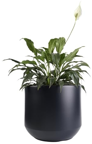 B2C Round Plant Pot Elegant Large Flower Indoor Outdoor Garden Planter Heos 36L Home Decor removable insert Large (Anthracite)
