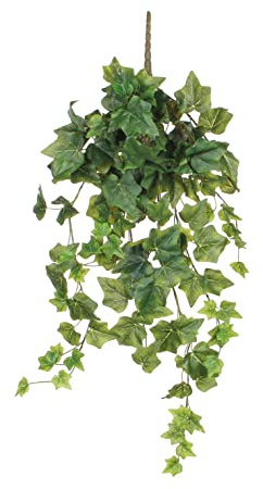 Mica decorations 1026611 Efeu Haengend - L71 cm Kunstpflanze, Polyester, grün, 71 x 23 x 23 cm
