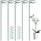 OMATSBEH 5 Pack 60 cm 23.5 inch Plant Support Stakes, Garden Single Stem Stake Amaryllis Cage Rings with 10 pcs Clips for Tomatoes Orchid Lily Peony Rose Flower (60 CM)