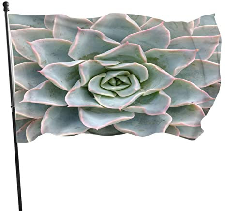Kaktus im Topf, Flagge, 1,2 x 1,8 m, Sukkulenten, Kakteen, tropische, botanische Hausflaggen, große Willkommensbanner für Zuhause, Garten, Hof, Rasen, Dekoration