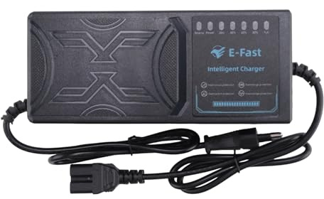 Grnlucja 48 V 20 AH Caricabatteria per Veicolo Elettrico 7 Display di Luce di Potere Protezione da Perdite di Corrente/Impulso Spina Europea