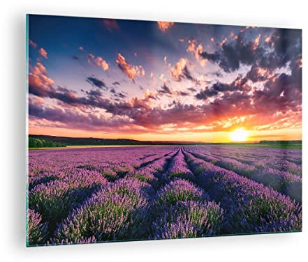Bilder auf Glas Lavendel Berge Feld Glasbild 70x50cm Wandbilder Dekoration Wohnzimmer Schlafzimmer Küche Deko Klein Wanddeko Bild im Glas Wand Kunstdruck Art Modern Wall Decor Glasdruck GAA70x50-3816