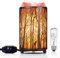 Himalayan Pink Salt Lamp, Natural Salt Rock Lamp with Retro Forest Basket and Dimmer Switch, Romantic Night Light Plug in, Decor Desk Lamp
