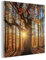 MuchoWow Glasbild Glasfoto Wandbild Bilder Deko 20x20 cm Herbst - Sonne - Baum