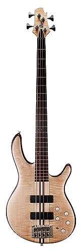Economy 4 Strings, Modern Design with Double Cutaway Guitar