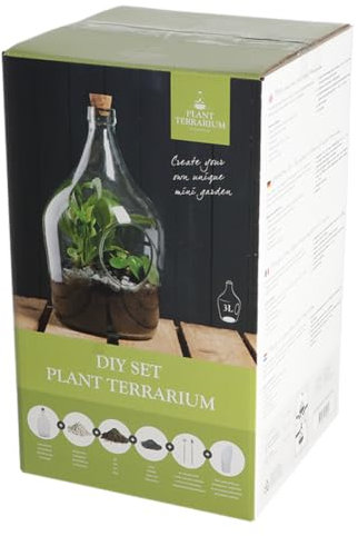 Eeschert Design - Terrario para Plantas (3 litros)