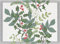 Ekelund - Tischsets (2er Set) Julia 35x48 cm 100% Baumwolle