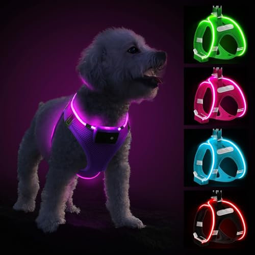 PcEoTllar Hundegeschirr Leuchtend, Leuchtgeschirr LED Aufladbar & Reflektierendes, Beleuchtetes Leuchtgeschirr für Welpe Klein Mittlere Hund, Atmungsaktiv Leucht Geschirr, Lila-M