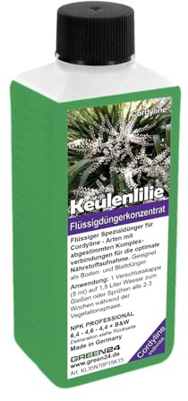 Keulenlilie-Dünger - Cordyline indivisa Flüssigdünger für kräftiges Wachstum 250ml