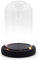 Nynelly 9x15cm Cloche en Verre Décorative avec base de lumières LED noires, Ornement de Cloche en Verre