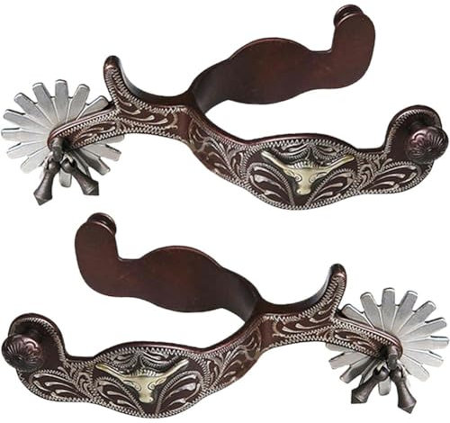HiyyFloy 2 Stück Pferdesporen, Rostfreier Stahl, Western-Stil, Cowboy-pferdestiefel-sporen Für Reitsport-wettkampfausrüstung