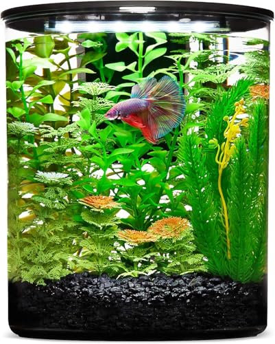 YISITONG Aquarium, Petit Aquarium 11L/3 gallons avec Filtre et éclairage LED (17 Couleurs au Choix), 360° Fish Tank pour Petits Poissons et Poissons Betta, la Maison, Le Bureau et Les Cadeaux