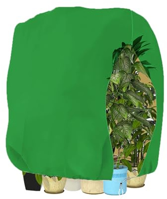 WEALSFUN Winterschutz für Pflanzen,Winterschutz Kübelpflanzensack Schutzhülle für Pflanzen als Baum Palmen Balkonpflanzen haube Zelt Atmungsaktiv - Reißfest,Grün 80x120cm