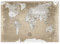LANA KK - Weltkarte Natur – magnetische Weltkarte Pinnwand als Blechschild XXL -Poster, Magnettafel als Geschenk Wandkunst Dekor für Zuhause, Büro und Café in 100x70 cm