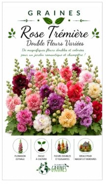 100 graines de Rose Tremiere - mixtes - Alcea rosea - vivace - fleurs double - en mélange Rose Violet Jaune Blanc