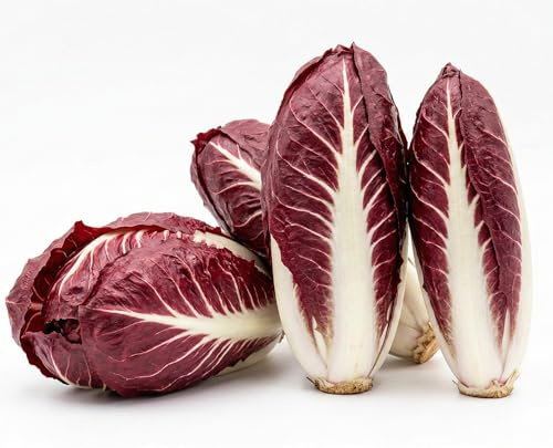 Semillas de Achicoria Roja de Treviso 6g | Achicoria para cultivar para Huerto, Maceta y Balcón | Alta Germinación, Crecimiento Rápido | Semillas Hortalizas para Huerto Doméstico