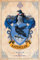 GB eye Abystyle GBYDCO066 Harry Potter Ravenclaw Maxi-Poster, 61 cm x 91,5 cm