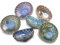 LOBERON Schwimmwindlicht Set Leela | Deko Set Windlicht Glas | Mundgeblasen | Gartendeko Für Offene Wasseroberflächen | 6 Windlichter In Unterschiedlichen Farben