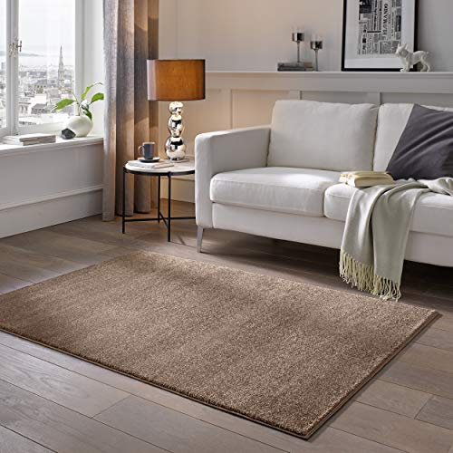 TacaHome Kurzflor Teppich Designer I Flauschiger Flachflor fürs Wohnzimmer, Esszimmer, Schlafzimmer oder Kinderzimmer | 80 x 150 cm Braun