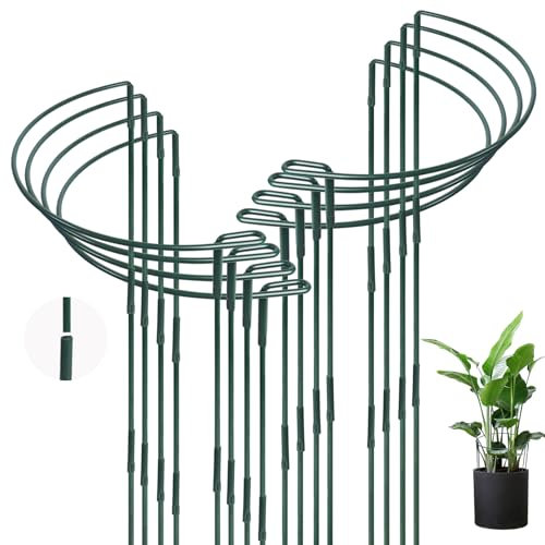 Qaziuy 25 x 60cm Pflanzenstütze, 8 Stück Metall Pflanzenhalter Halbrund Pflanzenstützring, Staudenhalter, Pflanzenringe Rund, Blumenstütze für Pfingstrosen, Hortensien, Gemüse,Tomaten, Topfpflanzen