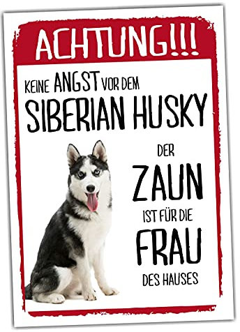 Siberian Husky Dog Schild Achtung Zaun Frau Spruch Türschild Hundeschild Warnschild Geschenkidee lustiger Spruch Hundemotiv Aluminium Wetterfestes Hundeschild