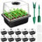 YAUNGEL Bandejas Semilleros, 10Pcs 120 Celulas Mini Invernadero Germinador de Semillas, Bandeja de Cultivo con Tapa Ventilación y Ventana Ajustable para Plantas Desemillero, Negro