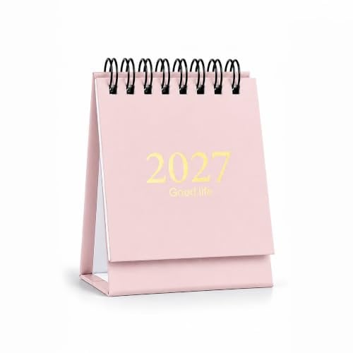 ALLY-MAGIC Mini-Tischkalender, kleiner Tischkalender, Mini-Schreibtischkalender 2024 Juli 2025 Dez, Mini-Tagesplaner, winziger Schreibtischkalender mit Aufklebern für Zuhause, Büro, Schule, Y9CSMNRL