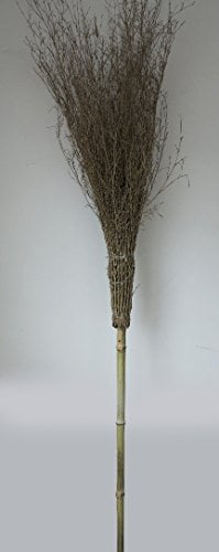 CAPALDO