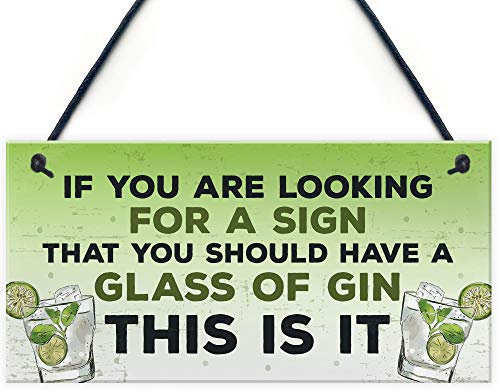 RED OCEAN Gin Bar Garden Hanging Plaque Alcohol Man Cave Vintage Gin Shed Sign Gift