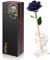 Ariceleo Gold Dipped Infinity Last Forever Rose, Regalo Romantico per Le Donne Nel Suo Compleanno San Valentino Festa Della Mamma, Rosa Conservata in Resina Regalo di Anniversario per Mamma (Blu)