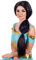 Fun Shack Schwarze Prinzessin Perücke Damen, Arabische Prinzessin Perücke für Damen, Indianer Perücke Damen, Perücke Prinzessin, Karneval Perücke Damen - Einheitsgröße