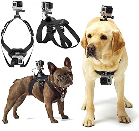 GoPro Dog Harness - Soft, Adjustable for Large, Medium & Small Dogs - Chest & Back Mount for All GoPro Hero Models