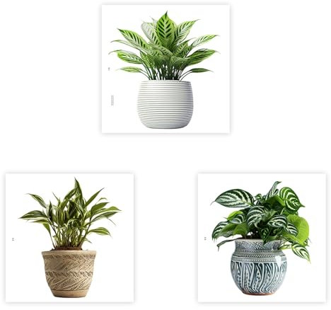 WakiHong Adhesivos 3D Alocasia | Kit de 3 Vinilos Autoadhesivos 30x30 cm | Decoración Botánica para Dormitorio,Salón,Oficina