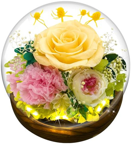 Ewige Rose im Glas - Geschenk Mit LED-Licht, Konservierte Echte Blume, Infinity Rose für Geburtstag, Valentinstag, Jahrestag, Muttertag (Gelb)